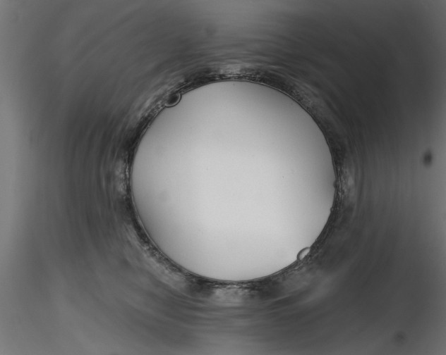 X0000116850470201001051510