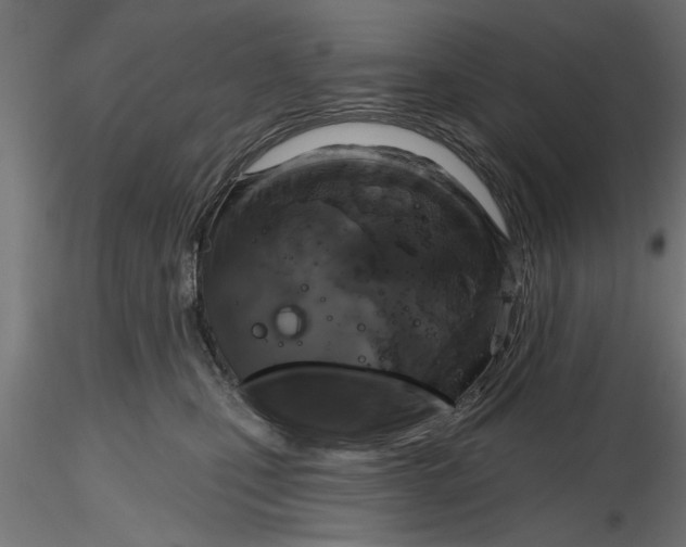 X0000116850471201001051510