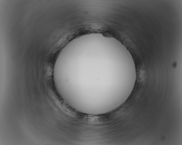 X0000116850472201001051510