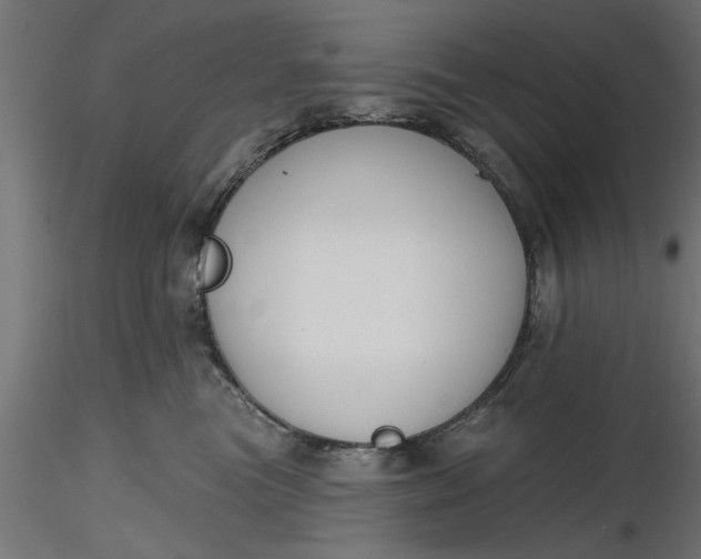 X0000116850473201001051510