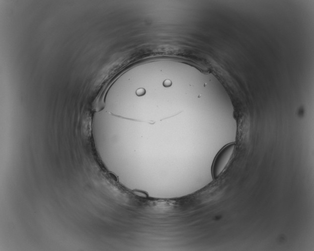 X0000116850474201001051510