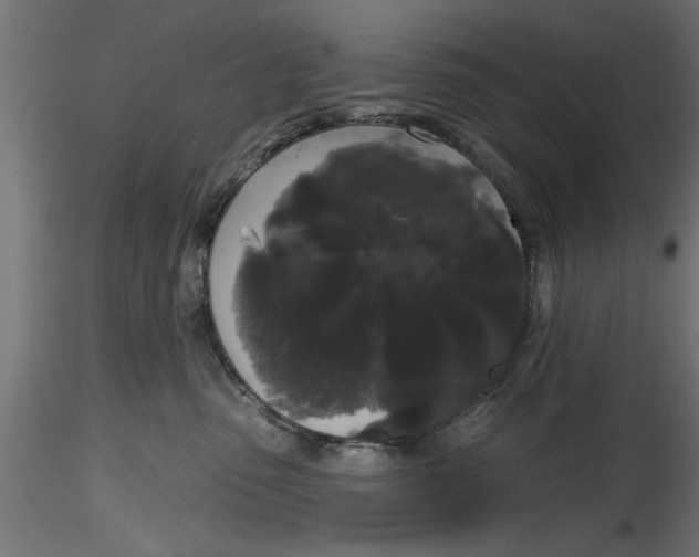 X0000116850475201001051510