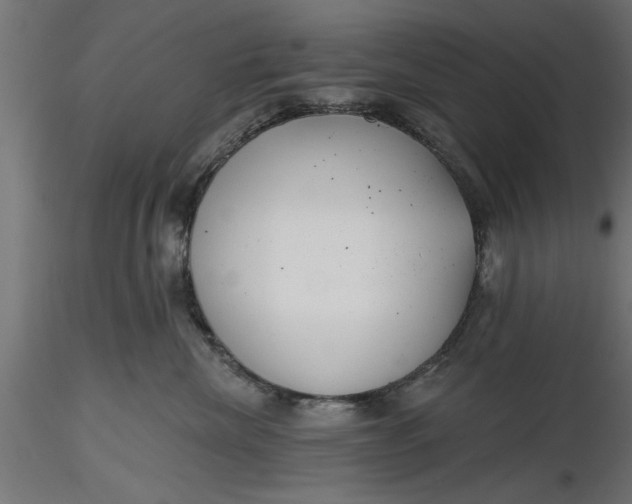 X0000116850476201001051510