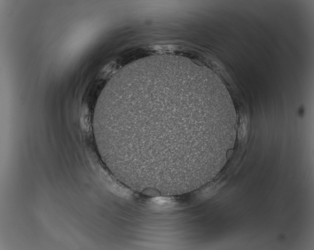 X0000116850477201001051510