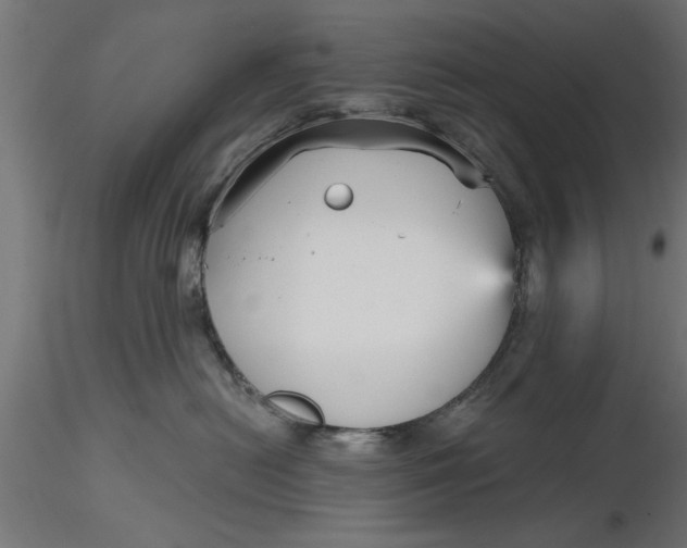 X0000116850478201001051510