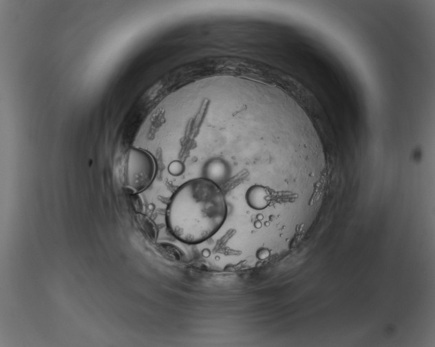 X0000116850479201001051510