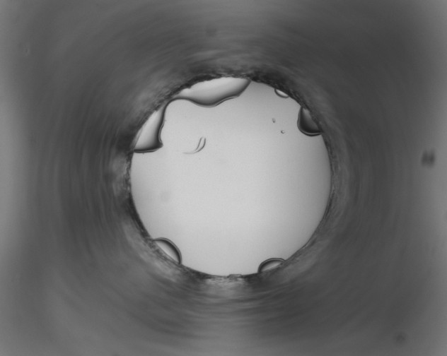 X0000116850480201001051510