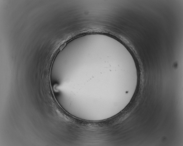 X0000116850481201001051509