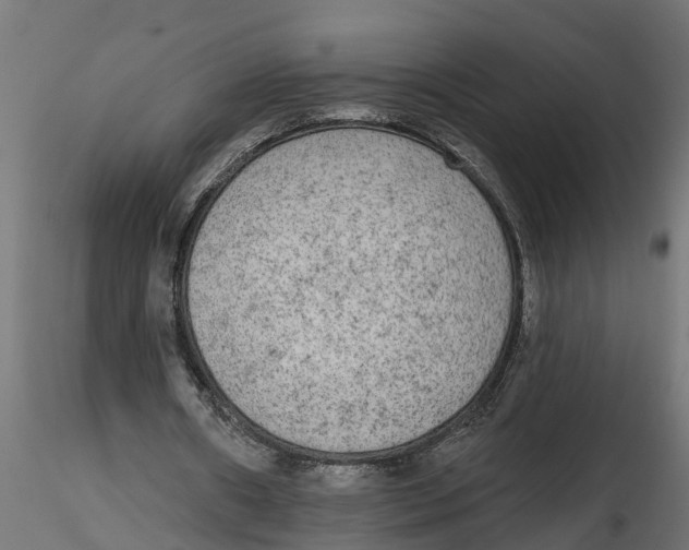 X0000116850482201001051509