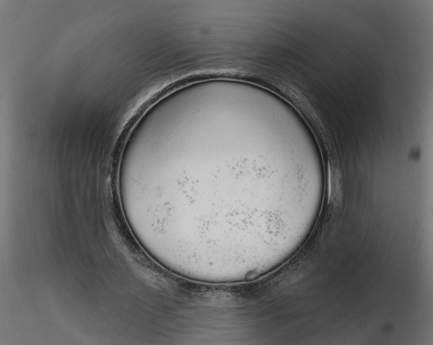 X0000116850483201001051509