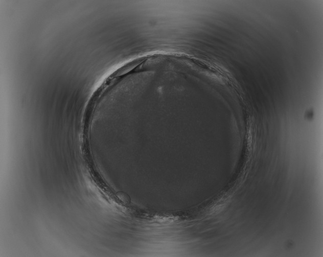 X0000116850484201001051509