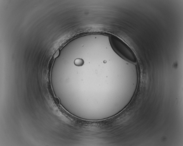 X0000116850485201001051509