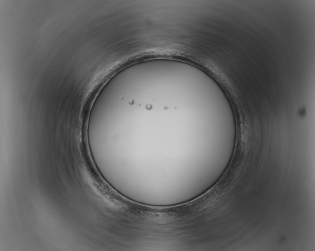 X0000116850486201001051509