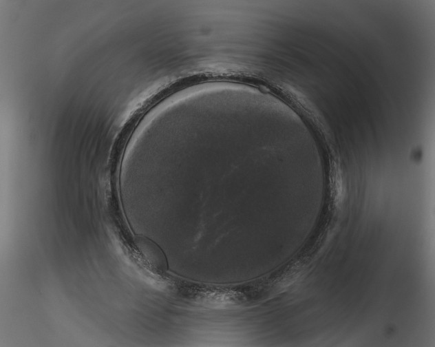 X0000116850488201001051509