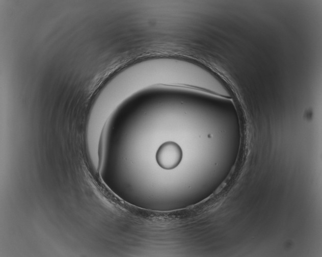 X0000116850489201001051509