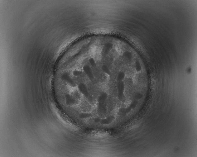 X0000116850491201001051509