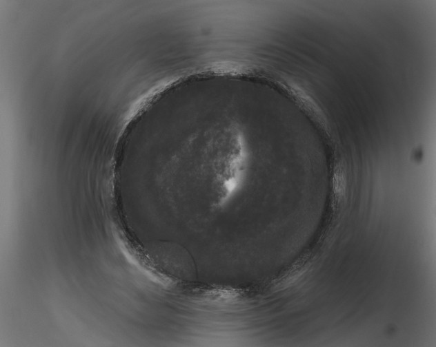 X0000116850492201001051509