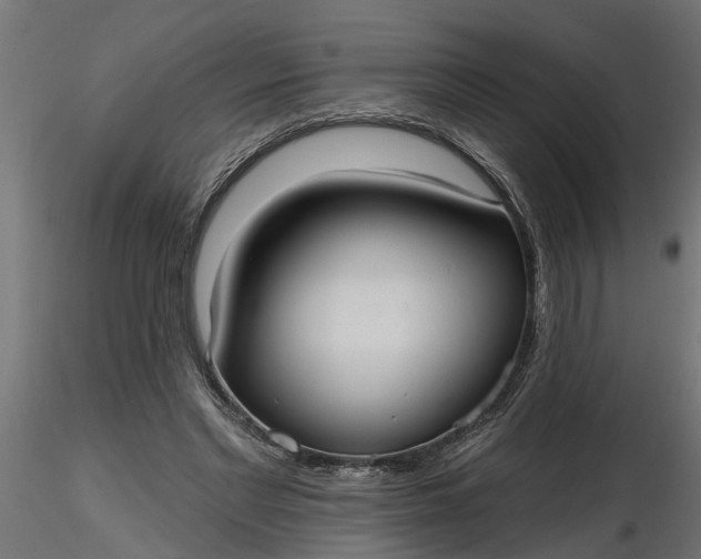 X0000116850493201001051509