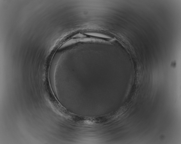 X0000116850496201001051509