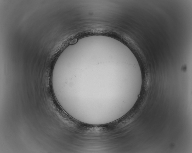 X0000116850497201001051509