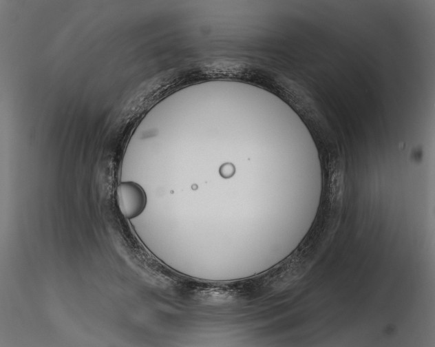 X0000116850498201001051509