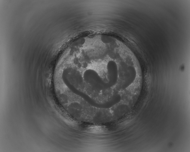 X0000116850499201001051509