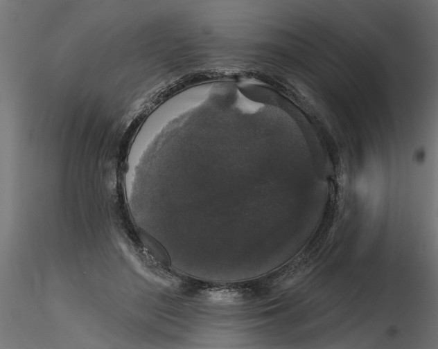 X0000116850500201001051509