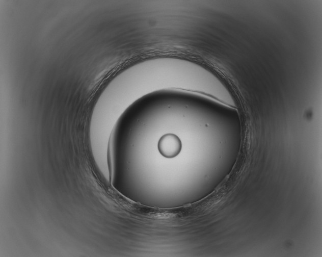 X0000116850501201001051509