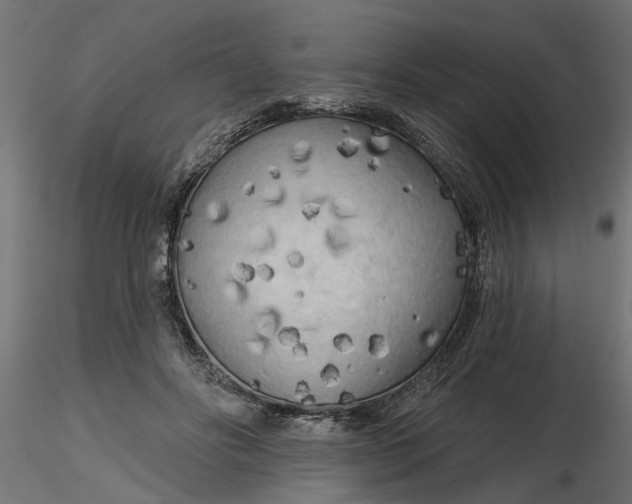 X0000116850502201001051509