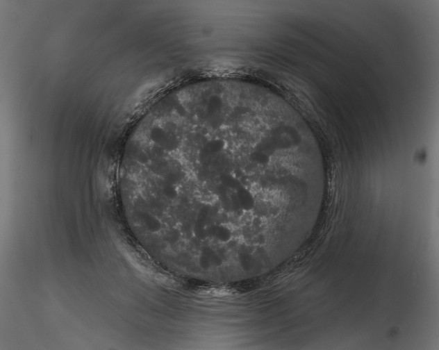 X0000116850503201001051509