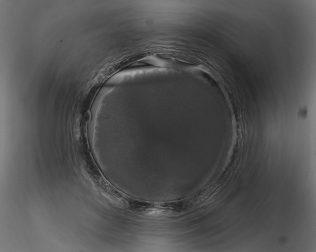 X0000116850504201001051509