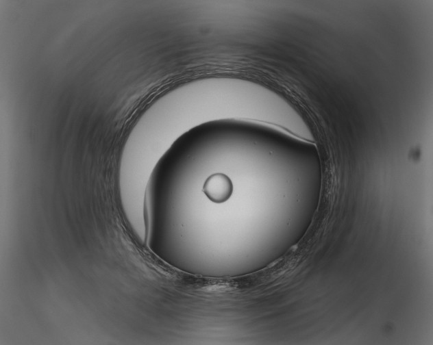 X0000116850505201001051509