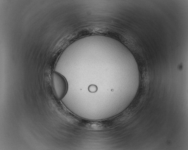 X0000116850506201001051509