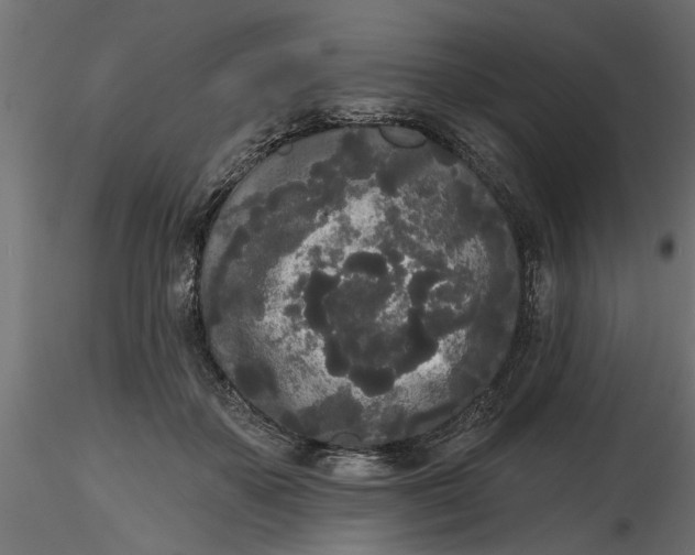 X0000116850507201001051509