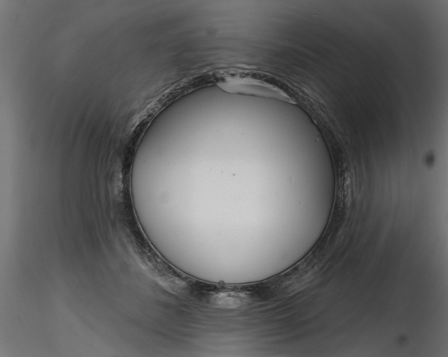 X0000116850508201001051509