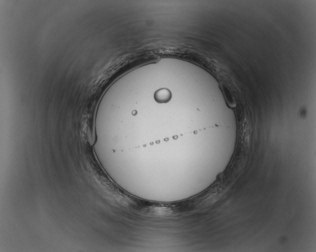 X0000116850509201001051509