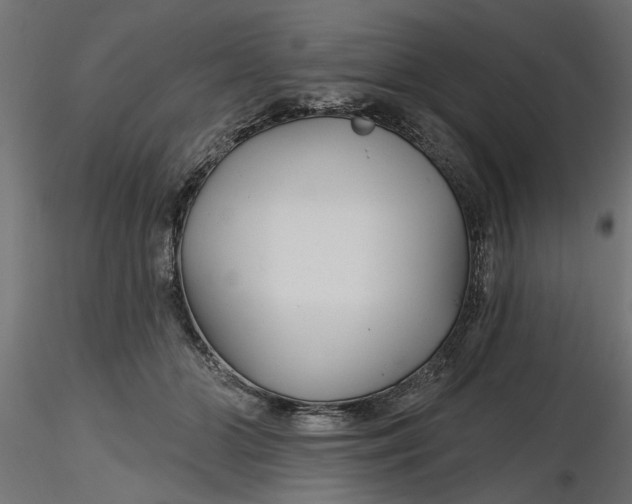 X0000116850510201001051509