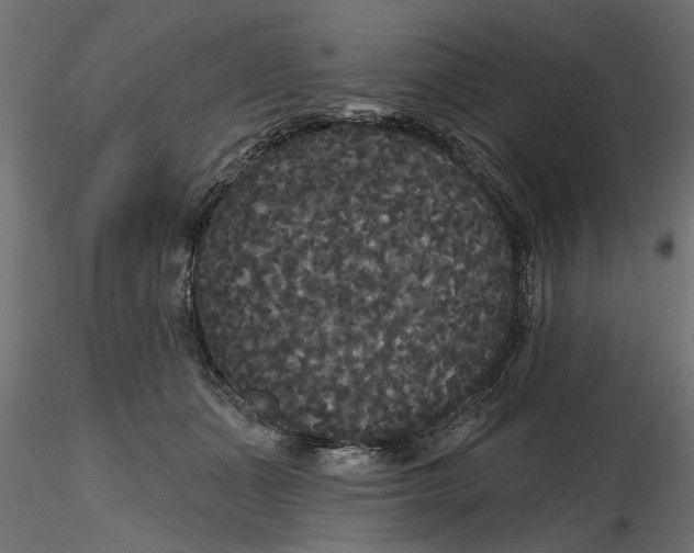 X0000116850511201001051509