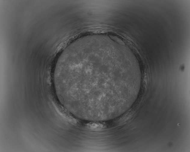 X0000116850512201001051509