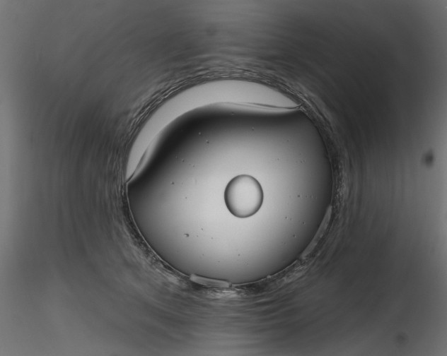 X0000116850513201001051509