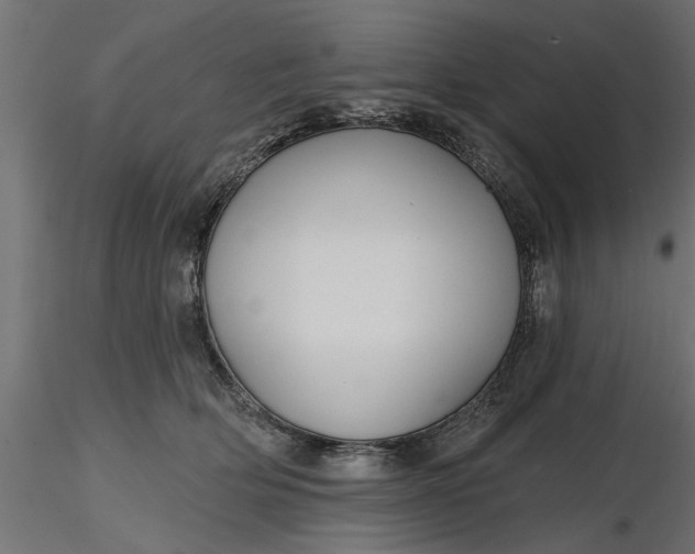 X0000116850514201001051509