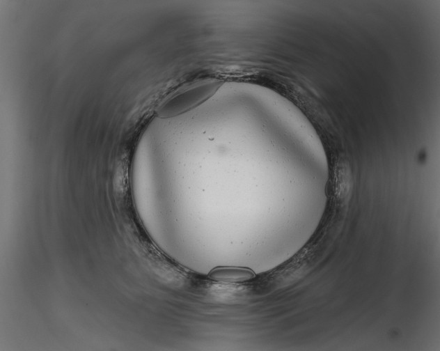 X0000116850515201001051509