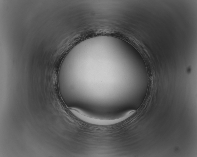 X0000116850517201001051509