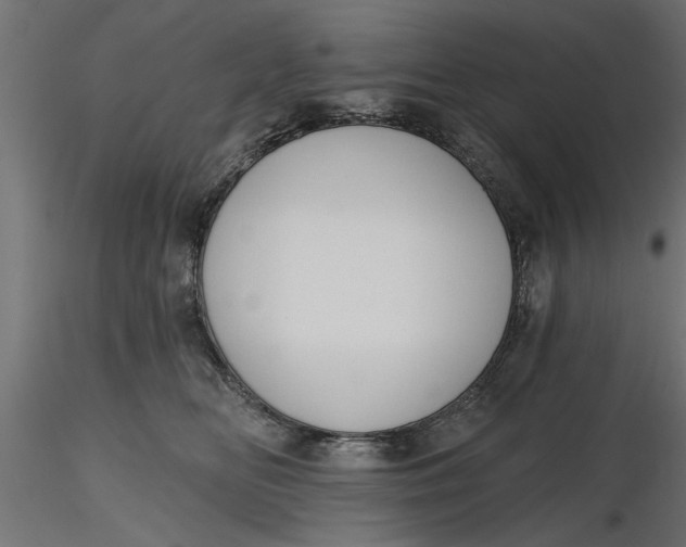 X0000116850518201001051509