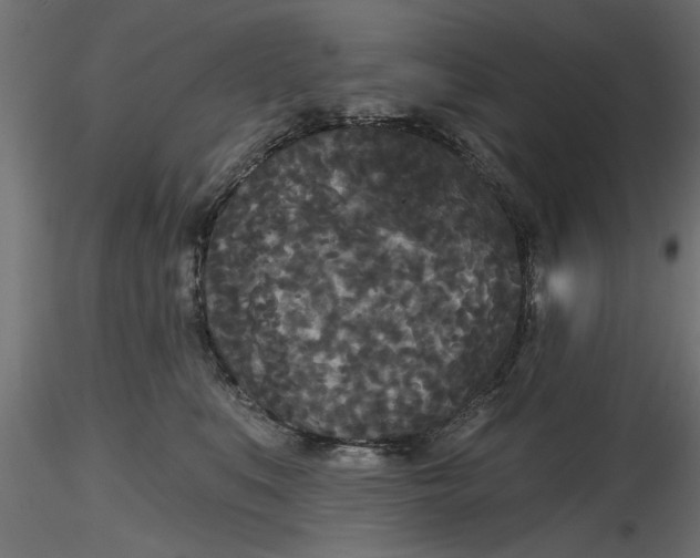 X0000116850519201001051509