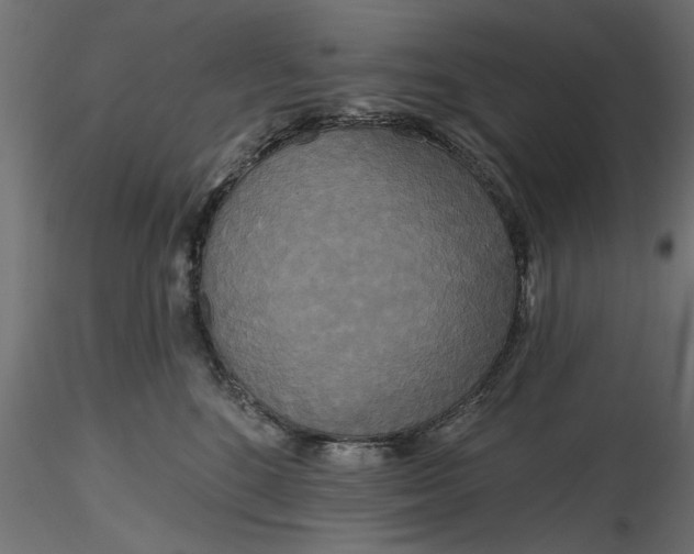 X0000116850520201001051509