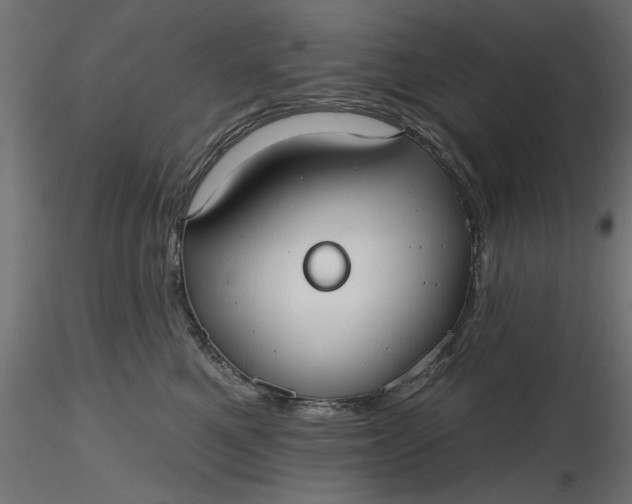 X0000116850521201001051509