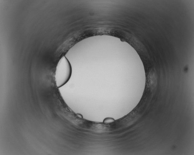 X0000116850522201001051509