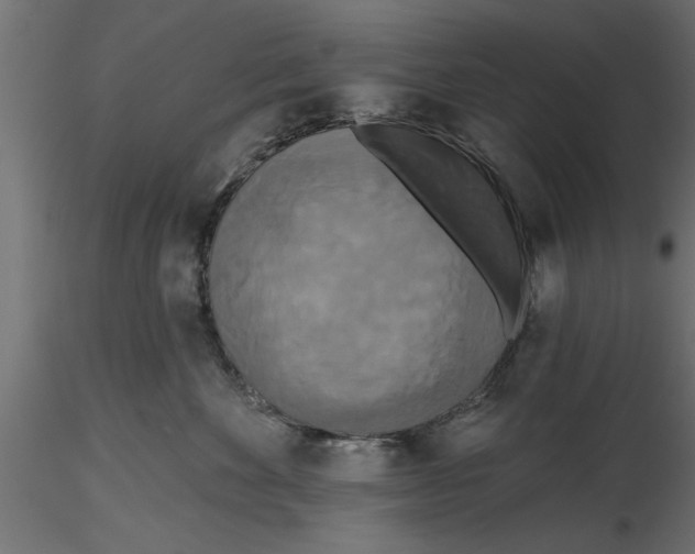 X0000116850524201001051509