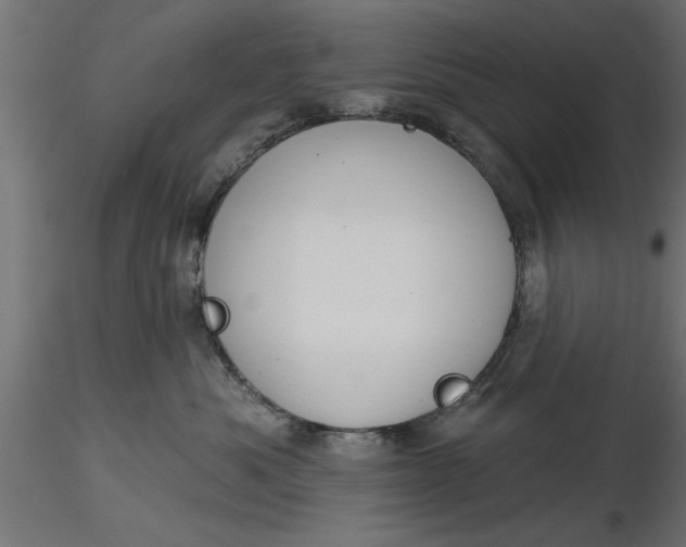 X0000116850525201001051509